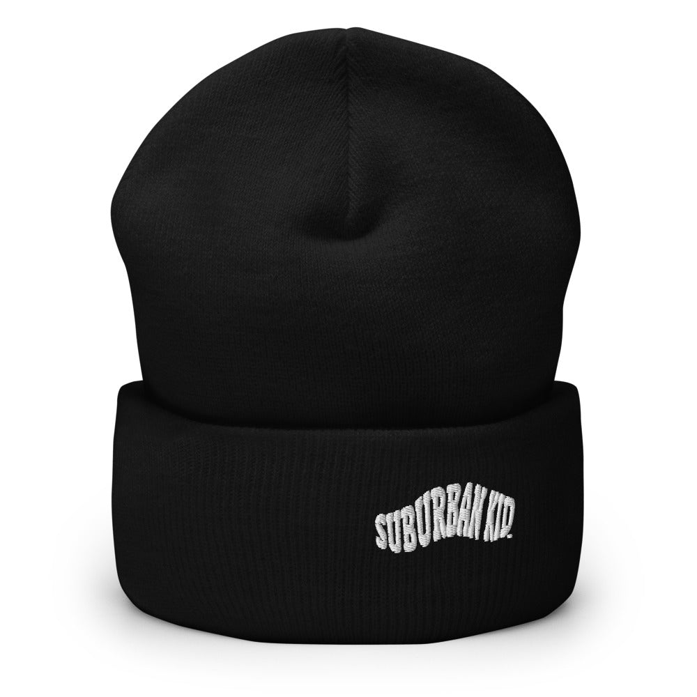 Classic Rolled Beanie