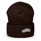 Classic Rolled Beanie