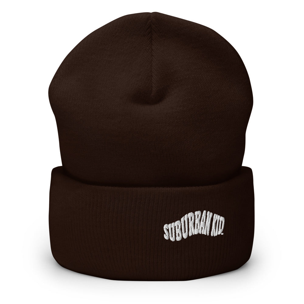 Classic Rolled Beanie