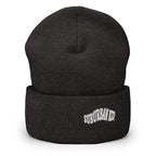 Classic Rolled Beanie