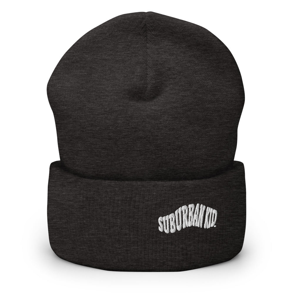 Classic Rolled Beanie