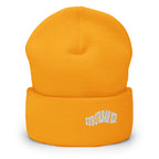 Classic Rolled Beanie