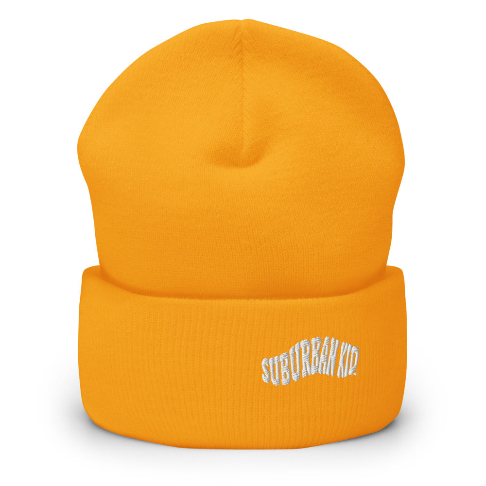 Classic Rolled Beanie