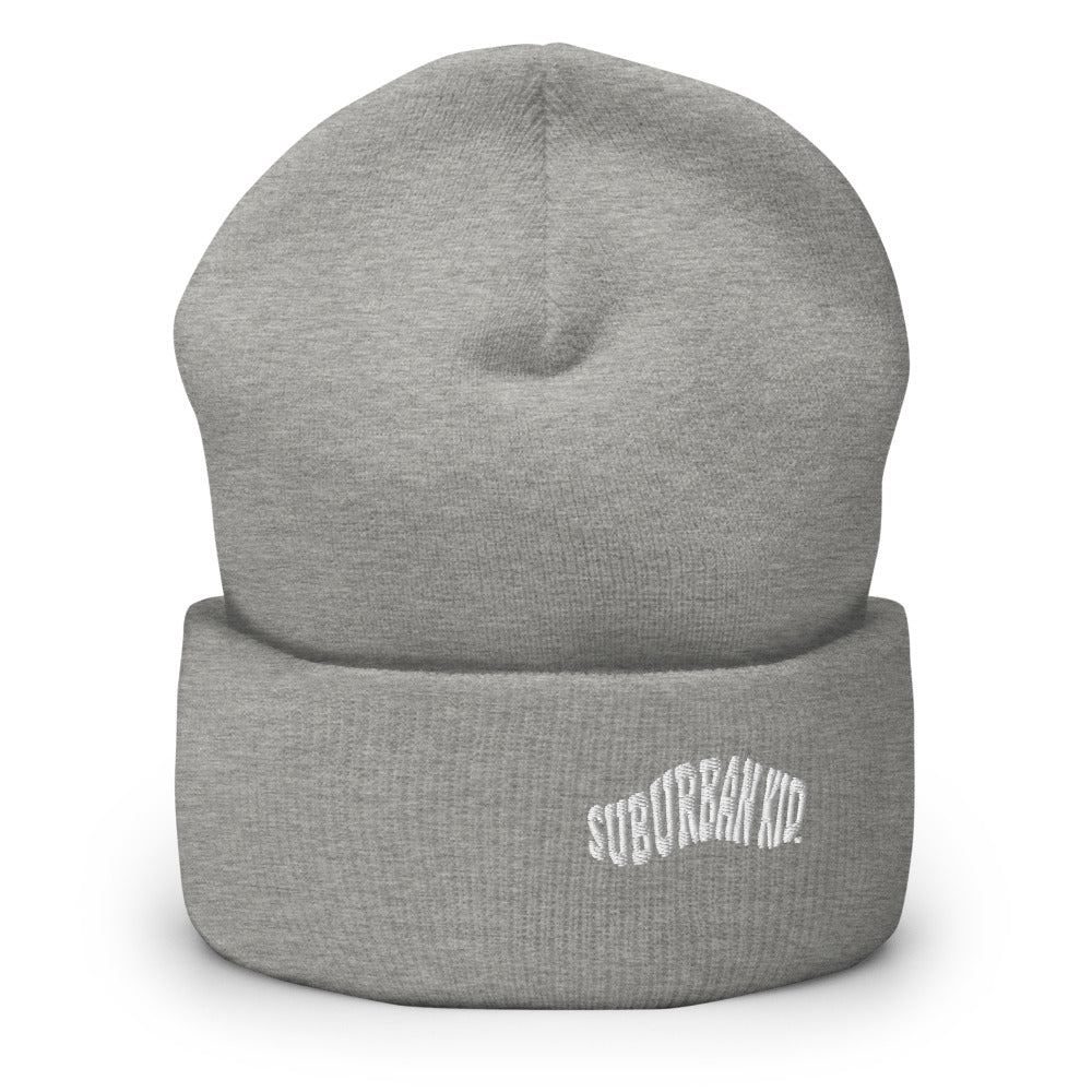 Classic Rolled Beanie