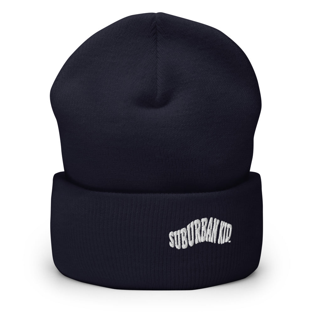 Classic Rolled Beanie