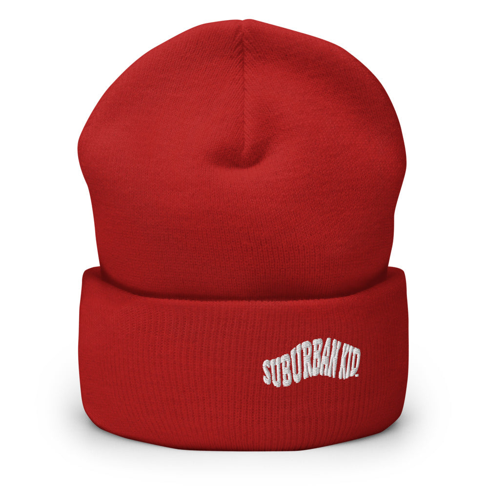 Classic Rolled Beanie