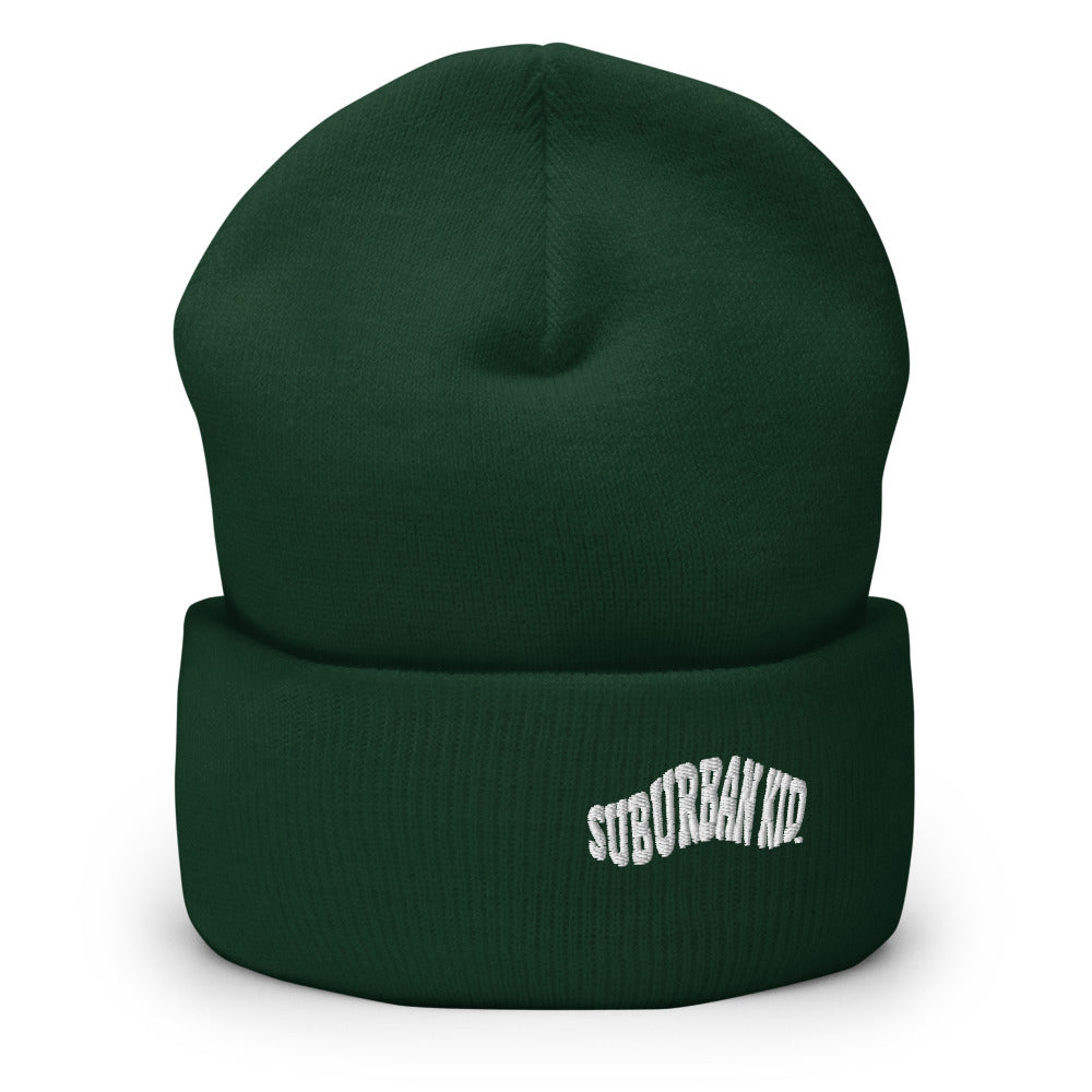 Classic Rolled Beanie